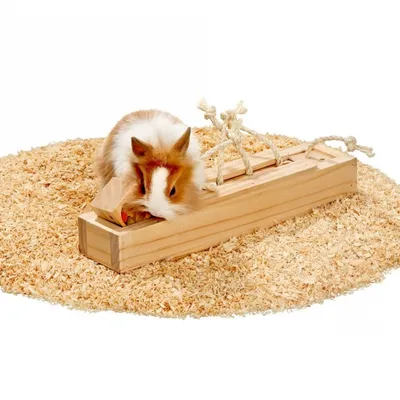 Image de Karlie Brain Train Cube Jouet pour rongeurs 6 blocs bois naturel 37 x 8,5 x 6,5 cm
