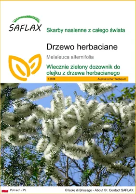 Zdjęcie produktu dla SAFLAX - Drzewo herbaciane - 400 Nasiona - Melaleuca alternifolia