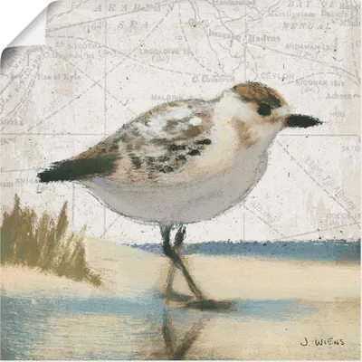 Produktbild von ARTland Poster Möwe I Größe: 40x40 cm