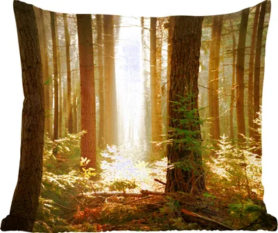 Produktbild von MuchoWow® Zierkissen Sofakissen Wohnzimmer Dekokissen 50x50 cm Wald - Bäume - Sonne - Komfort - Sofakissen