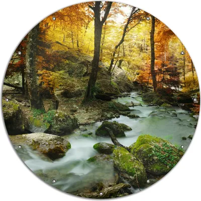 Produktbild von Wallario rundes Outdoor-Poster für Garten oder Balkon, Motiv Wasserfall mit moosbedeckten Steinen im Herbstwald, 120 cm Durchmesser