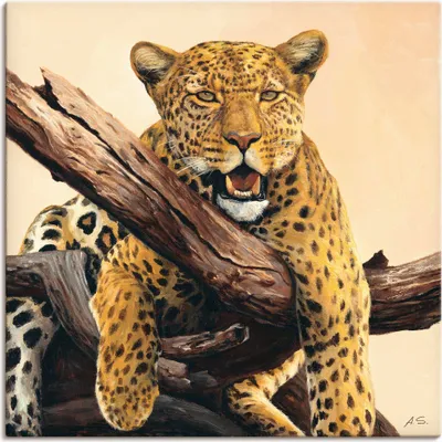 Produktbild von ARTland Leinwandbild Zeit zum Mittagessen Größe: 50x50 cm