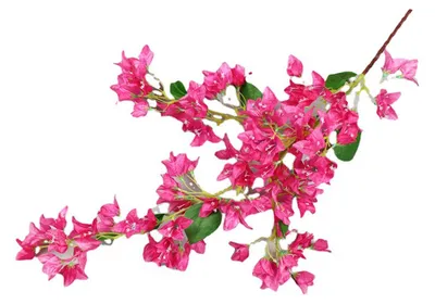 Künstliche Bougainvillea-Zweige, 120 cm, rosa-rot, Seide, waschbar