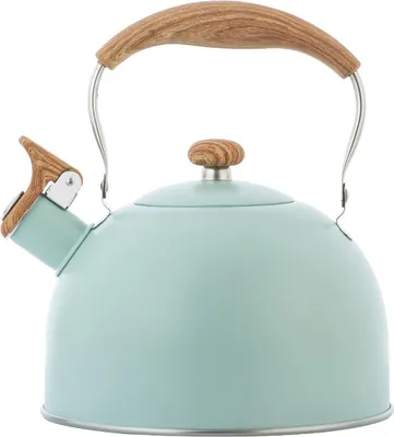 Produktbild von Flötenkessel, 2,5 l Flötenkessel Induktionsgaskessel Edelstahlkessel Flötenteekanne Flötenkessel für Induktionsgasherde, leicht zu reinigen