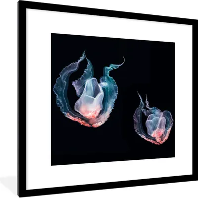 Produktbild von MuchoWow® Gerahmtes Poster Quallen - Meerestiere - Schwarz 40x40 cm - Poster mit Schwarzem Bilderrahmen Wandposter Rahmen Foto Bilder - Poster - Plakat im Rahmen