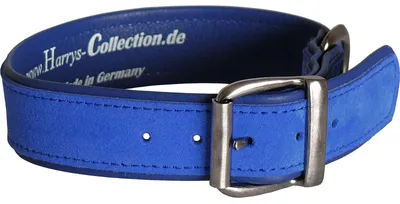 Produktbild von Hundehalsband aus feinstem Leder in vielen Farben von 28-48 cm
