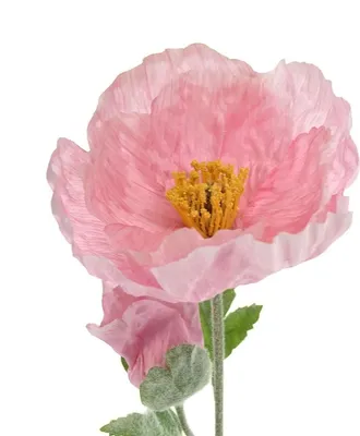 Produktbild von EVERLANDS Riesenmohn Rosa 2 Blüten & 1 Knospe Ø 12 cm 106 cm - Kunstblumen