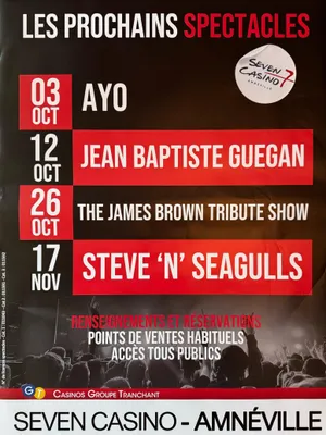 Productafbeelding van Ayo - Steve 'n' Seagulls - Concerten 2024 - Affiche / Poster - 60x84 cm