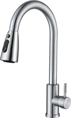 A stainless steel kitchen faucet with a pull-down sprayer is shown against a white background.