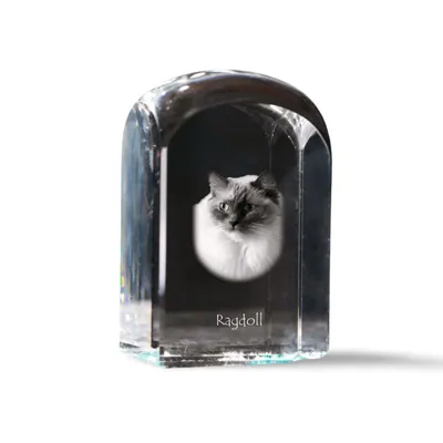 Produktbild von Ragdoll Kristallstempel mit einer Katze Art-Dog