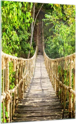 Produktbild von Bilder auf glas - Einteilig - Brücke Seil Dschungel - 70x100cm - Glasbilder - Wandbilder - Bilder - zum Aufhängen bereit - Wanddekoration aus Glas - Glas Bilder - Wandbild auf Glas - GPA70x100-4319