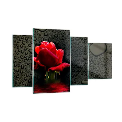 Produktbild von Bilder auf glas - Blume rote rose wasser tau - 120x70cm - Glasbilder - Wandbilder - Kunstdruck - zum Aufhängen bereit - Wanddekoration aus Glas - Glas Bilder - Wandbild auf Glas - GDL120x70-2367
