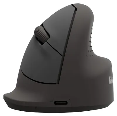 Imagen del producto de Fellowes 100143579 Fellowes vertikale Maus Breyta medium right
