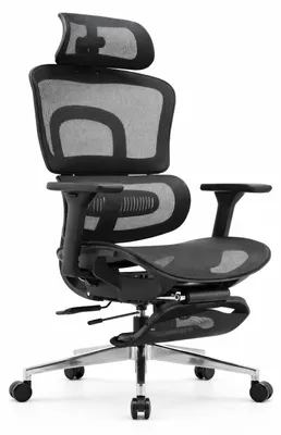 Immagine prodotto di Sedia da ufficio ergonomica con schienale regolabile e poggiatesta