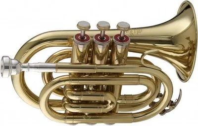 Produktbild von Famanu Pocket Trompete B-Stimmung mit Koffer - Kompaktes Musikinstrument