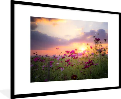Produktbild von MuchoWow® MuchoWow® Gerahmtes Poster Blumen - Rosa - Sonnenuntergang - Natur - Wiese - Horizont 90x60 cm - Poster mit zchwarzem Bilderrahmen - Wanddekoration - Fotos