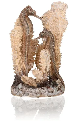 Obrázek produktu pro biOrb seahorses on coral natural S