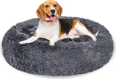 Produktbild von Eikuavons Hundebett 80 cm Dunkelgrau, weiches rundes Haustierbett aus Langplüsch mit hohem Rand und Antirutschboden