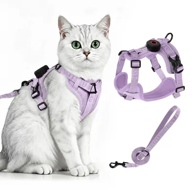Produktbild von Katzengeschirr mit Leine Ausbruchsicher AirTag Halterung Lila Größe M