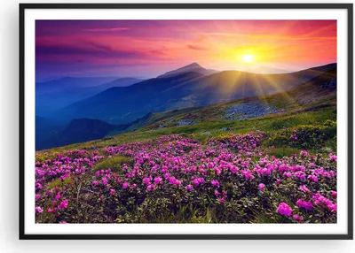 Produktbild von Gerahmtes Poster - Schwarzer Rahmen - Wiese Berge Landschaft - 100x70 cm - Wand Bild - Wanddeko - Wandbilder - Wandposter - Bilderrahmen - Bilder - Kunstdruck - Wandbild - P2BAA100x70-2676