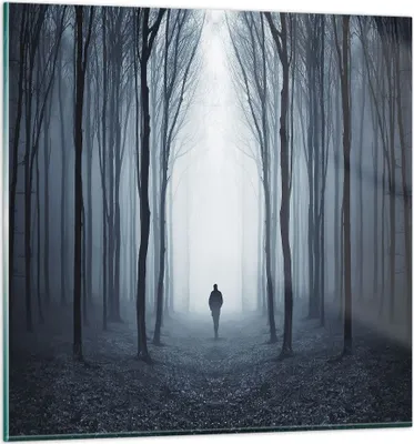 Produktbild von Bilder auf glas - Einteilig - Charakter Wald Einsamkeit - 60x60cm - Glasbilder - Wandbilder - Bilder - zum Aufhängen bereit - Wanddekoration aus Glas - Glas Bilder - Wandbild auf Glas - GAC60x60-4142