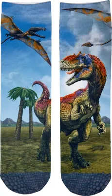 Produktbild von Die Spiegelburg|T-Rexworld Socken, one size (Gr. 26-36) - T-Rex World