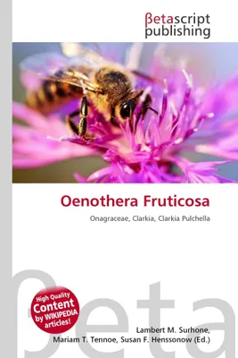 Produktbild von Strauch-Nachtkerze Oenothera fruticosa Blütenpflanze