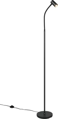 Produktbild von Reality Leuchten Stehleuchte TARYN schwarz DH 20x133.50 cm schwarz