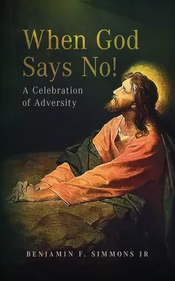 Produktbild von When God Says NO!: A Celebration of Adversity