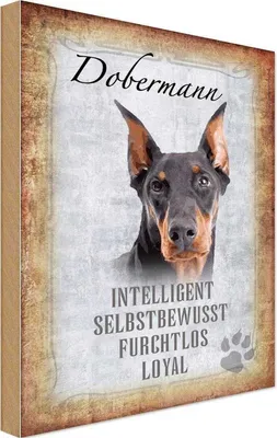 Produktbild von vianmo Holzschild 18x12 cm Dobermann Hund loyal Tier Haustier