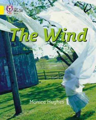 Immagine prodotto di The Wind