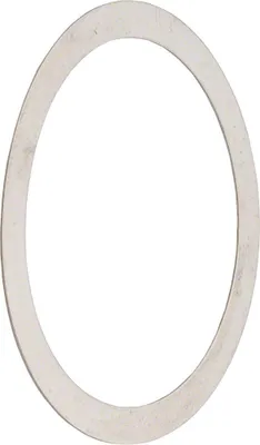 Produktbild von Jagwire Unterlegscheibe für Centerlock Verschlussring 0,15 mm Silber - präzis...