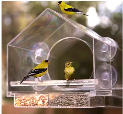 Imagen del producto de Comedero para pájaros transparente con ventosas - Silo de alimentación de acrílico