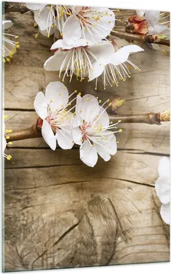 Produktbild von Bilder auf glas - Einteilig - Blume Stängel - 50x70cm - Glasbilder - Wandbilder - Bilder - Kunstdruck - zum Aufhängen bereit - Wanddekoration aus Glas - Glas Bilder - Wandbild auf Glas - GPA50x70-3537