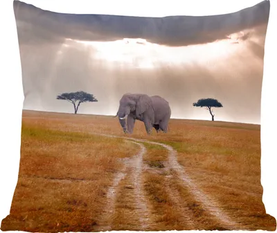 Produktbild von MuchoWow® Zierkissen Sofakissen Wohnzimmer Dekokissen 45x45 cm Elefant - Tiere - Wiese - Sonne - Schlafpolster - Polster für das Sofa