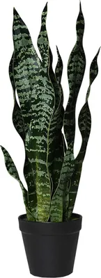Produktbild von VIVANNO Kunstpflanze Kunststoff SANSI Organisch, Grün naturgetreu - 20x50 cm