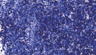 Produktbild von KNORR PRANDELL 218099137 Glitterfarbe Flaky Glue dunkelblau
