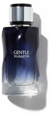 Image de Reyane Tradition Gentle Elsatys Eau de Parfum 100 ml