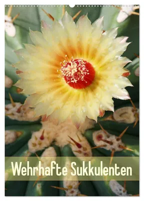 Produktbild von Wehrhafte Sukkulenten (Wandkalender 2027 DIN A2 hoch), CALVENDO Monatskalender