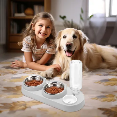 Produktbild von 3-in-1 Katze Futternapf und Wassernapf Set - Katzennapf aus Edelstahl 15° Neigbar Doppel-Katzennäpfe mit Automatische Wasserspender für Haustiere