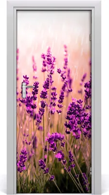 Produktbild von Tulup Türaufkleber 85x205 cm Dekorative Aufkleber Selbstklebend Wasserdichte Tapete Abnehmbar Schlafzimmer Wohnzimmer Wohnkultur - Lavendelfeld