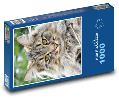 Obrázek produktu pro Puzzle 1000 Kočka s jantarovýma očima - martinpuzzle