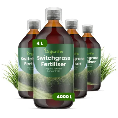 Obrázek produktu pro Tekuté Hnojivo pro Switchgrass 4x1 L – 2-1-8 NPK – Pro Switchgrass – Pro Dlhotrvajúci Růst, Růst Listov & Robustnosť – Organifer