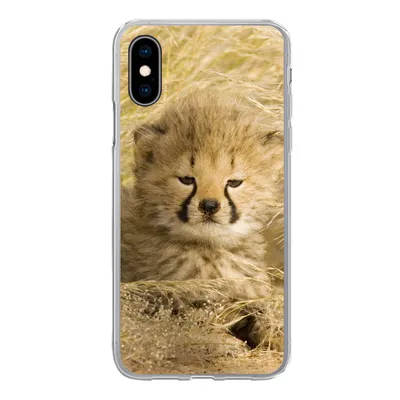 Produktbild von MuchoWow® Handyhülle Schutzhülle Hülle für iPhone X Gepard - Jung - Gras Silikon Softcase Handy Hülle - Handyhülle