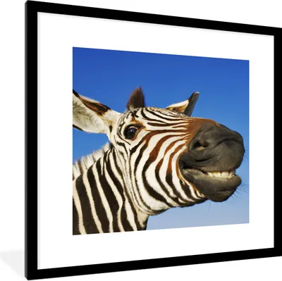 Produktbild von MuchoWow® Gerahmtes Poster Zebra - Lustig - Kinder - Jungen - Mädchen 40x40 cm - Poster mit Schwarzem Bilderrahmen Wandposter Rahmen Foto Bilder - Poster - Plakat im Rahmen