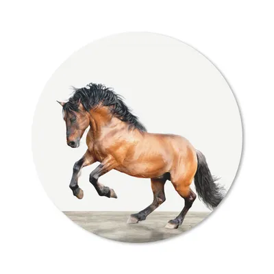 Produktbild von MuchoWow® Mauspad Mousepad Pferd - Tiere - Weiß - Jungen - Mädchen - Kinder 20x20 cm - Mousepads - Maus Mat - Pad - Mausunterlage - Schreibtischmatte