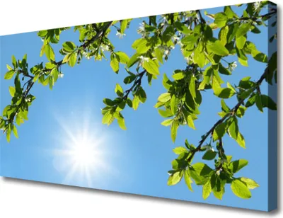 Produktbild von Tulup Leinwand-Bilder 100x50 Wandbild Canvas Kunstdruck Sonne Natur
