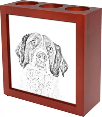 Produktbild von Französischer Spaniel, Epagneul Français - Stifthalter mit Hund, Schreibtischorganizer mit Aufdruck, personalisierte Schreibtischdekoration der Marke Art-Dog