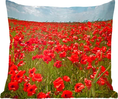 Produktbild von MuchoWow® Zierkissen Sofakissen Wohnzimmer Dekokissen 40x40 cm Eine Wiese voller Mohnblumen - Foto Kissen - Schlafzimmer Dekoration