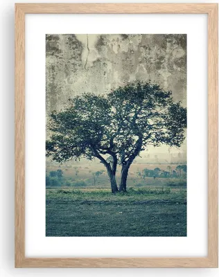 Produktbild von Gerahmtes Poster - Rahmen in heller Eiche - Baum Natur Feld - 30x40 cm - Wand Bild - Wanddeko - Wandbilder - Kunstposter - Wandposter - Bilderrahmen - Bilder - Kunstdruck - Wandbild - P2NPA30x40-3627